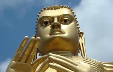dhamma paphulla vipassana bangalore