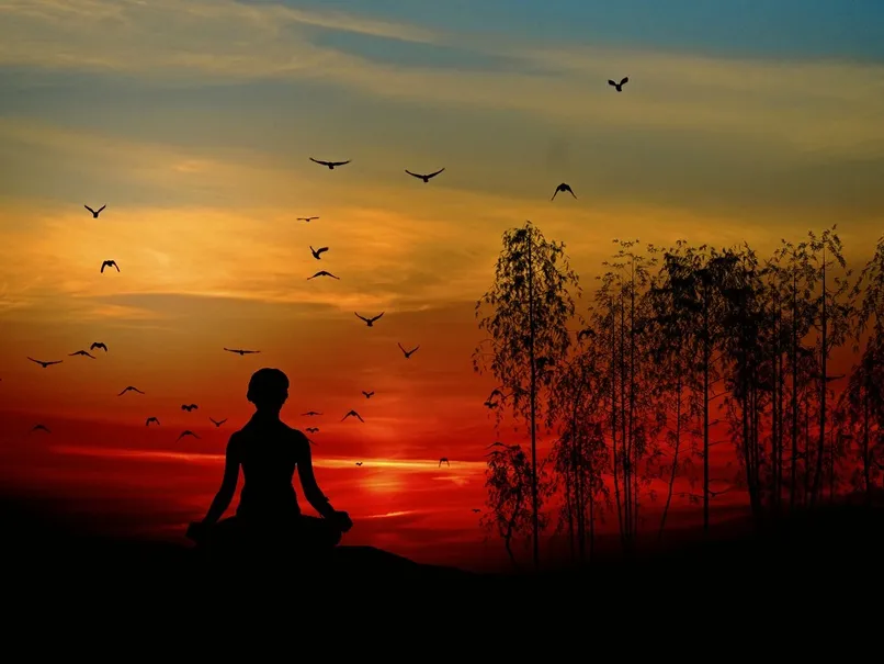 vipassana experience