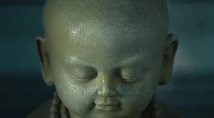 vipassana hoshiarpur dhamma dhaja