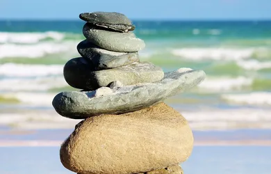 vipassana surprising facts